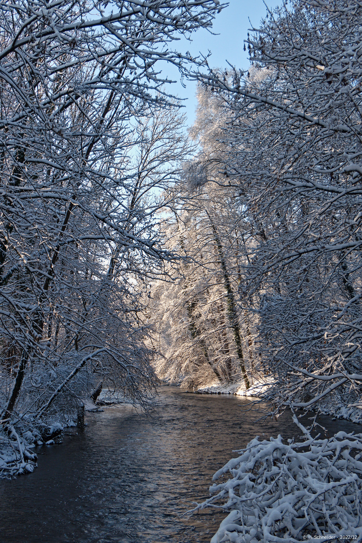 Emmeringer Hölzl im Winter