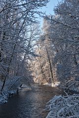 Emmeringer Hölzl im Winter