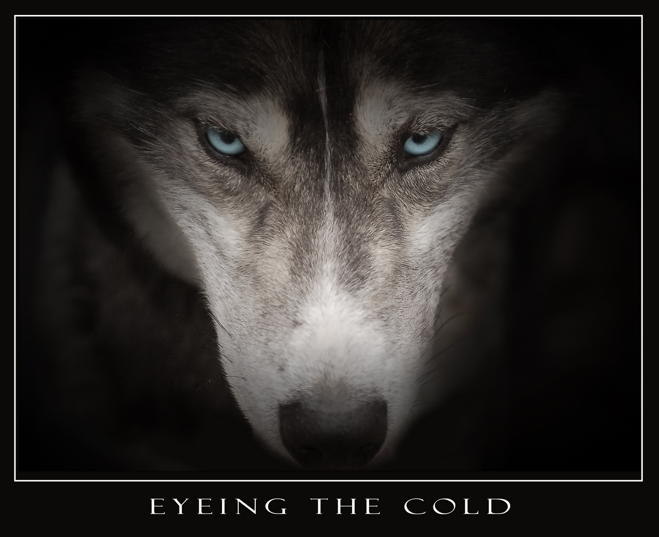Emmitt - Eyeing The Cold