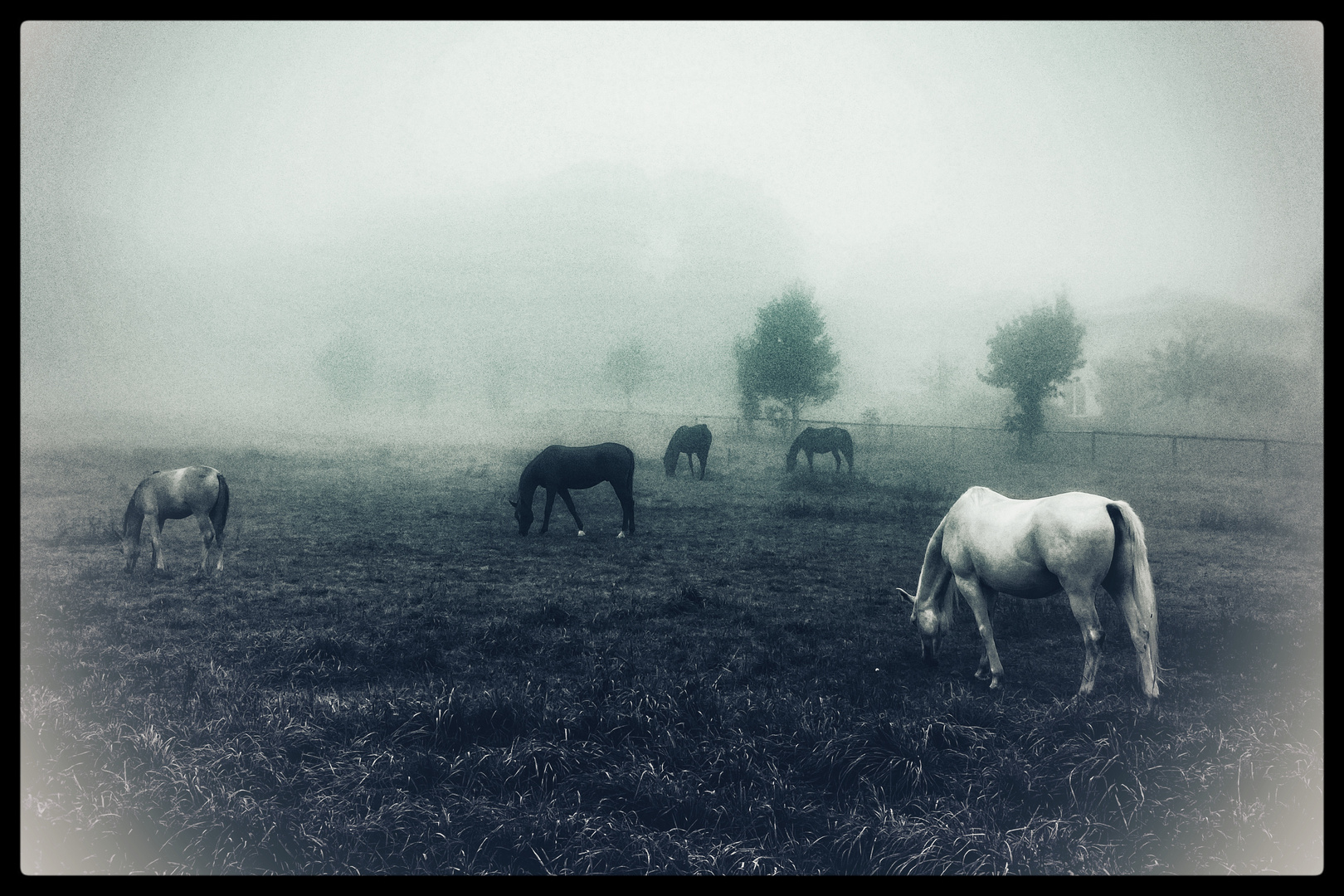 Emmotionen im Nebel