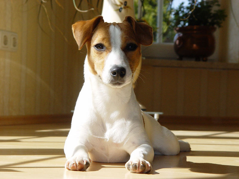 Emmy in the Sun