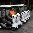 eMobilität Chinese Style