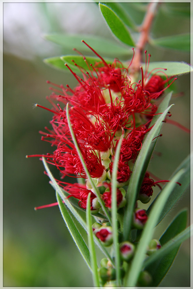 Emotion in red