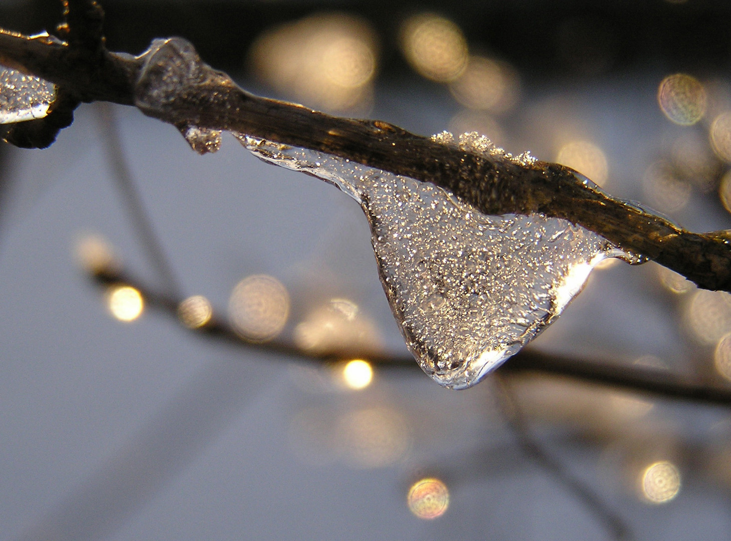 Emotionale Bindung zum Winter