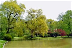 Emotionen-Wecker Frühling