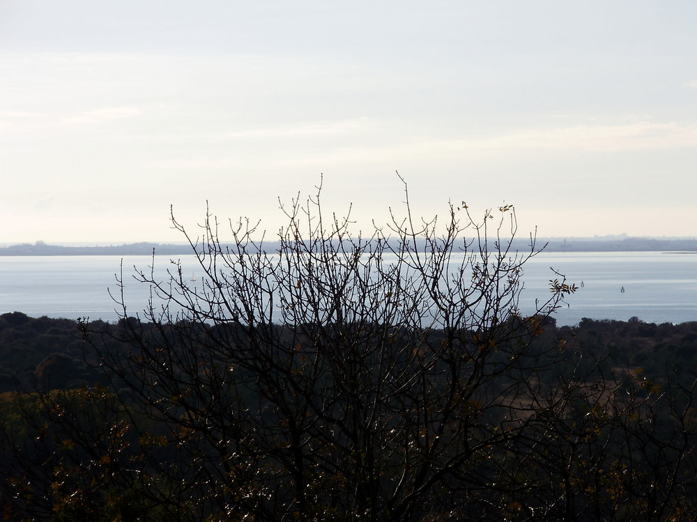 Emozioni dal Carso-Trieste