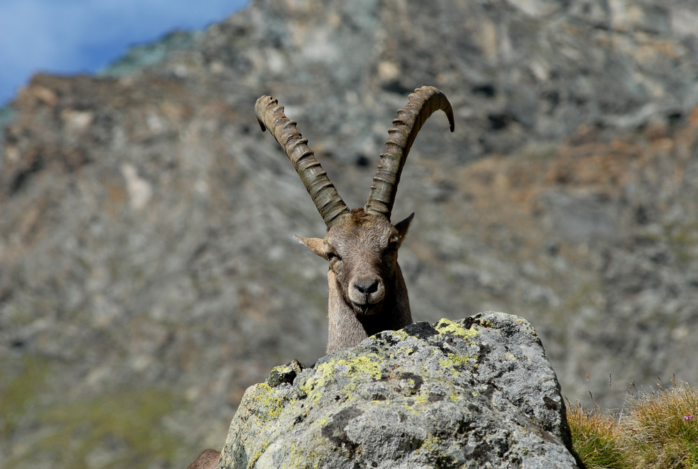 Emozioni lungo un sentiero di montagna