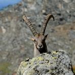 Emozioni lungo un sentiero di montagna