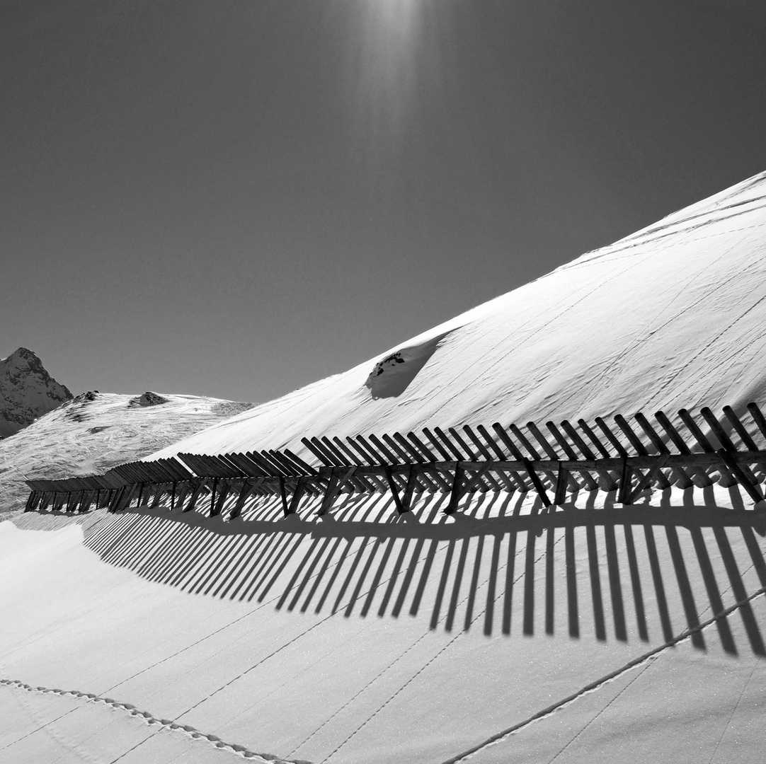 Emozioni sulla neve