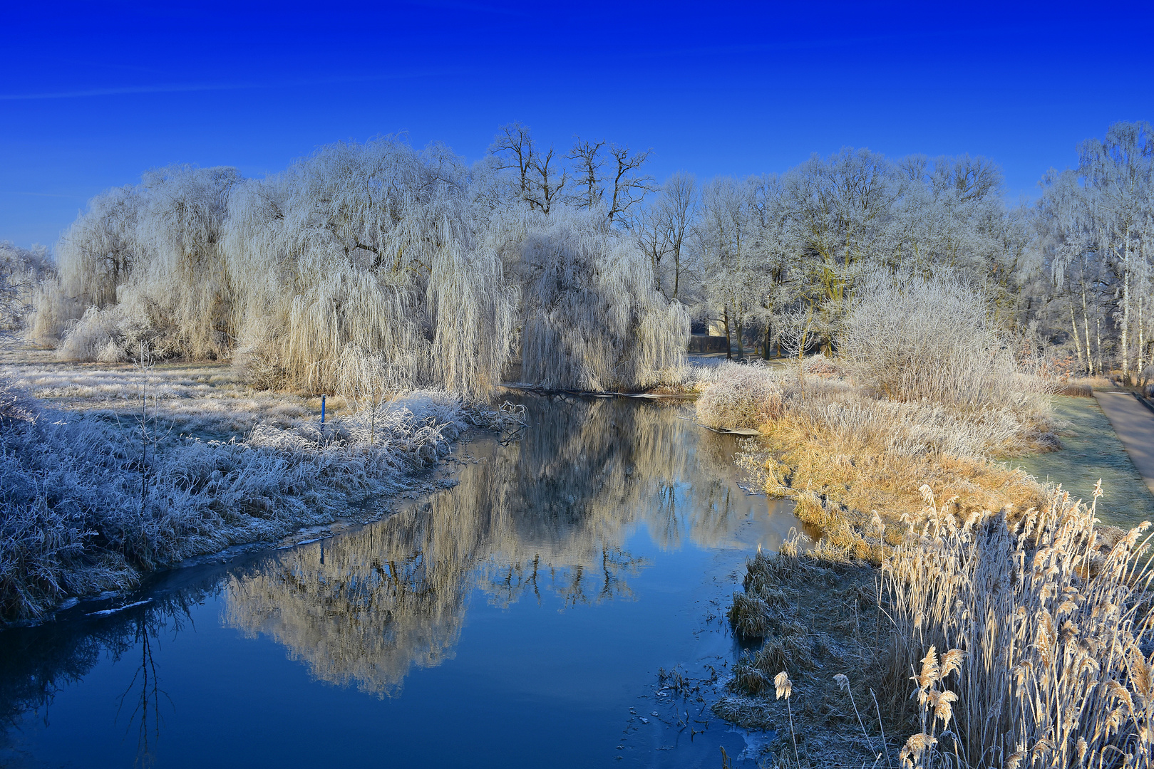 Emperor weather on a beautiful winter day