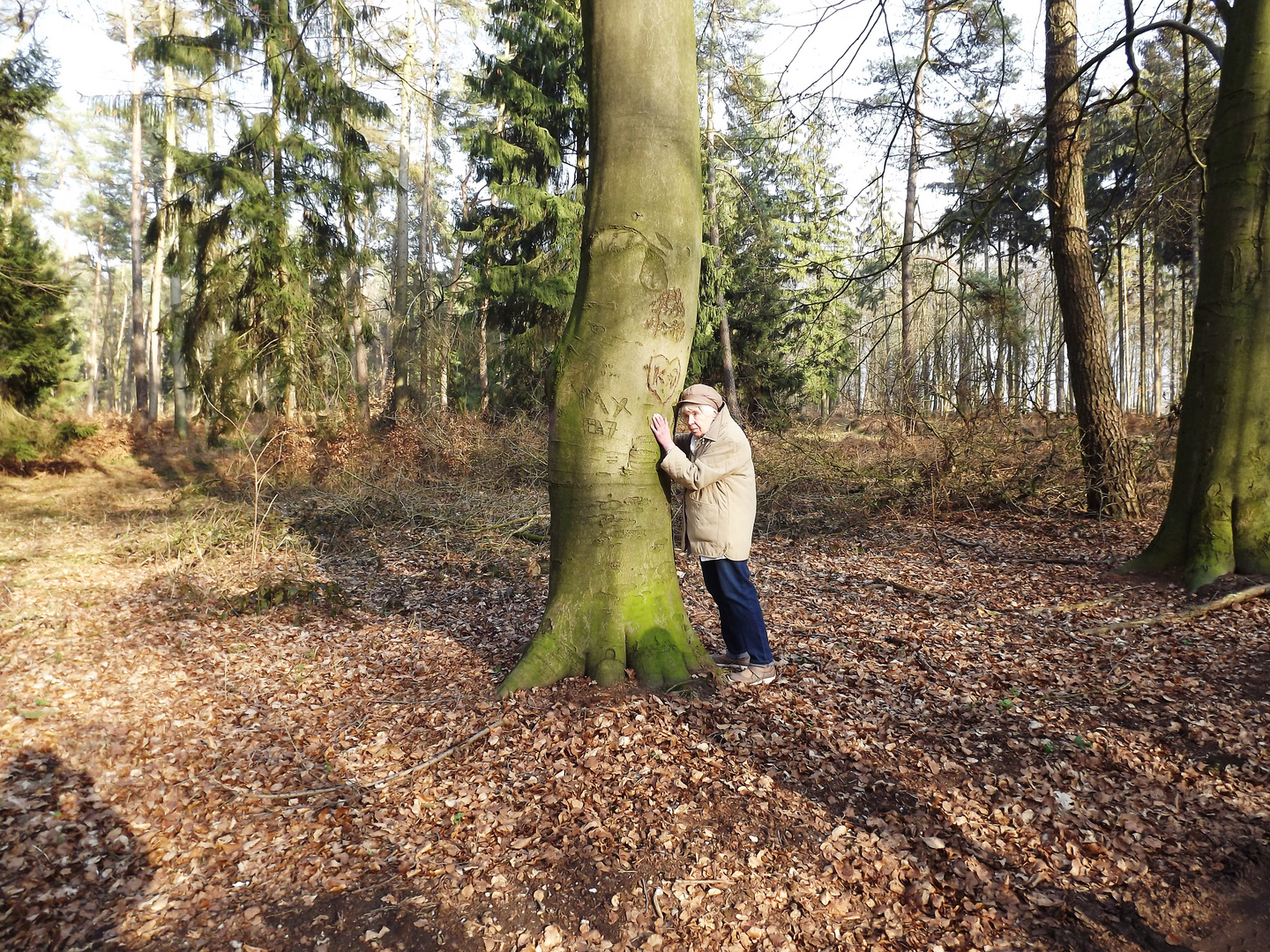 Empfange die Kraft der Natur