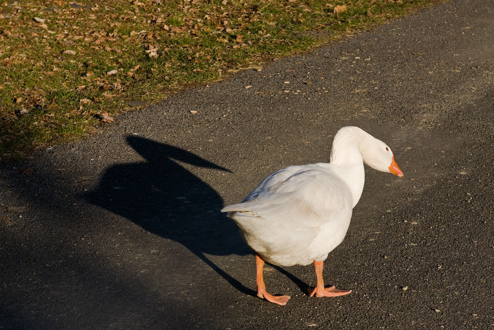 Empfangspersonal am See