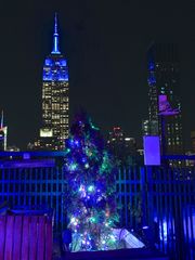 Empire State Building bei Nacht 