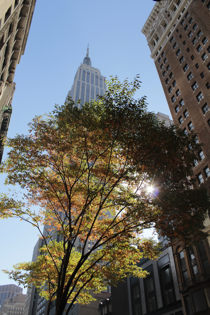 Empire State Building