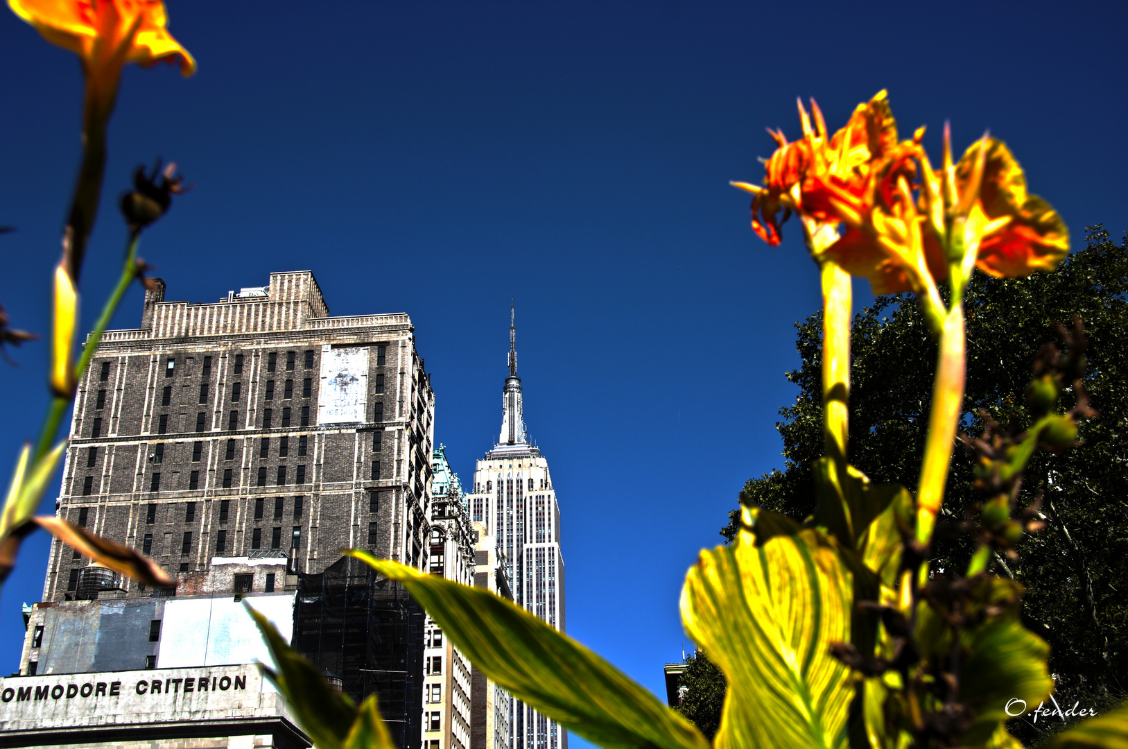 Empire State Building vom Madison Square aus gesehen