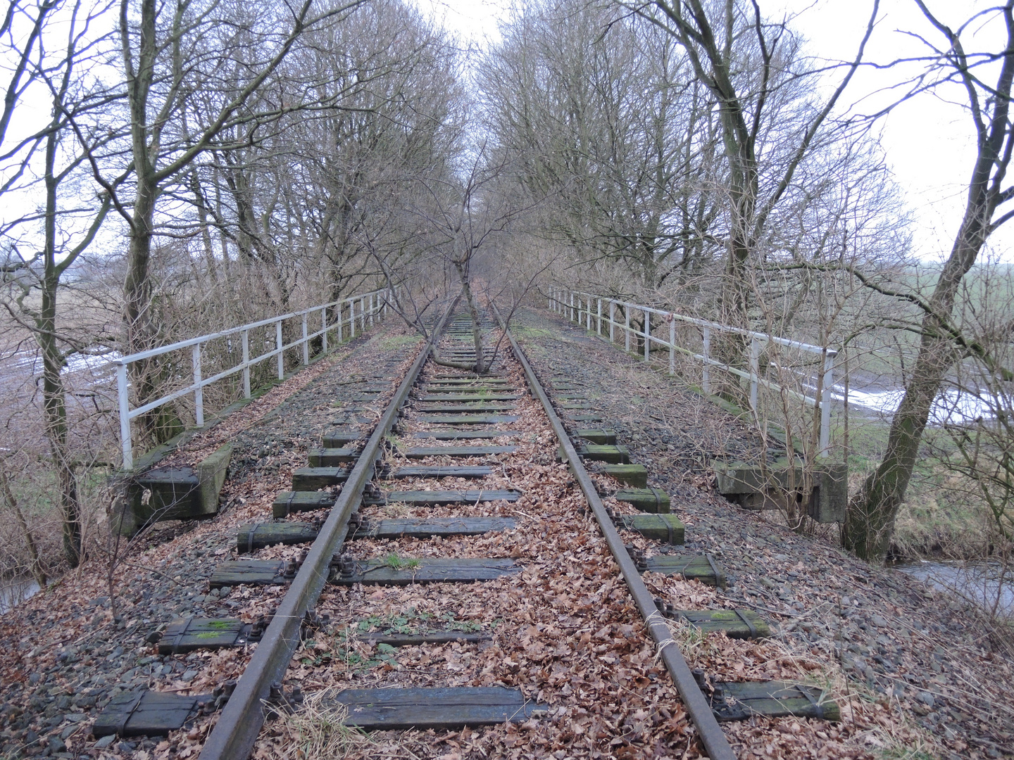 Emporkömmling 2016 - Bahnstrecke Nienburg - Sulingen