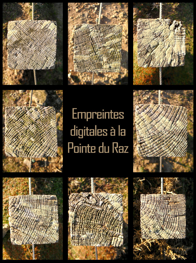 empreintes digitales ?