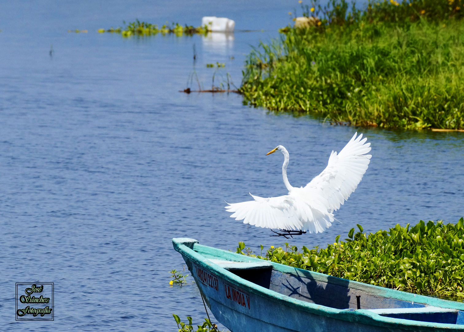 Emprendiendo el vuelo