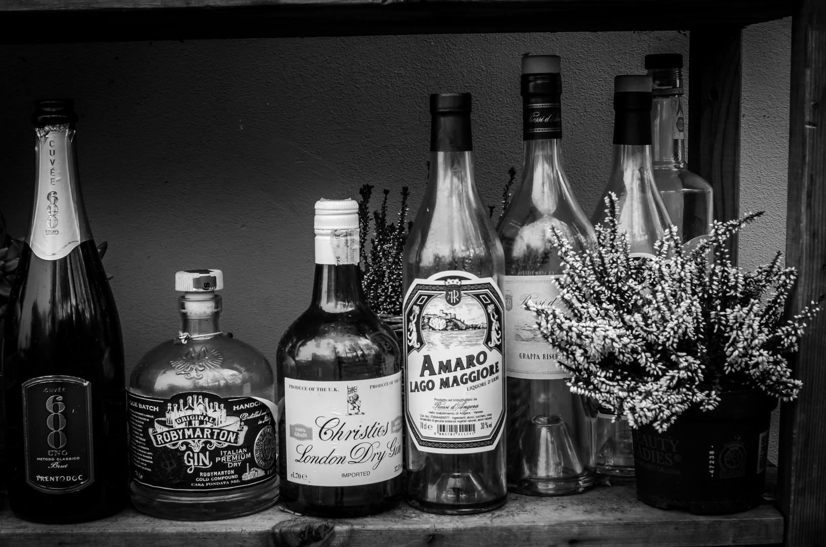 Empty Bottles Foto Immagini still life, dettagli e particolari