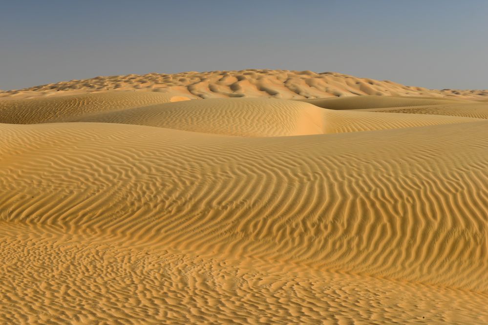 Empty Quarter