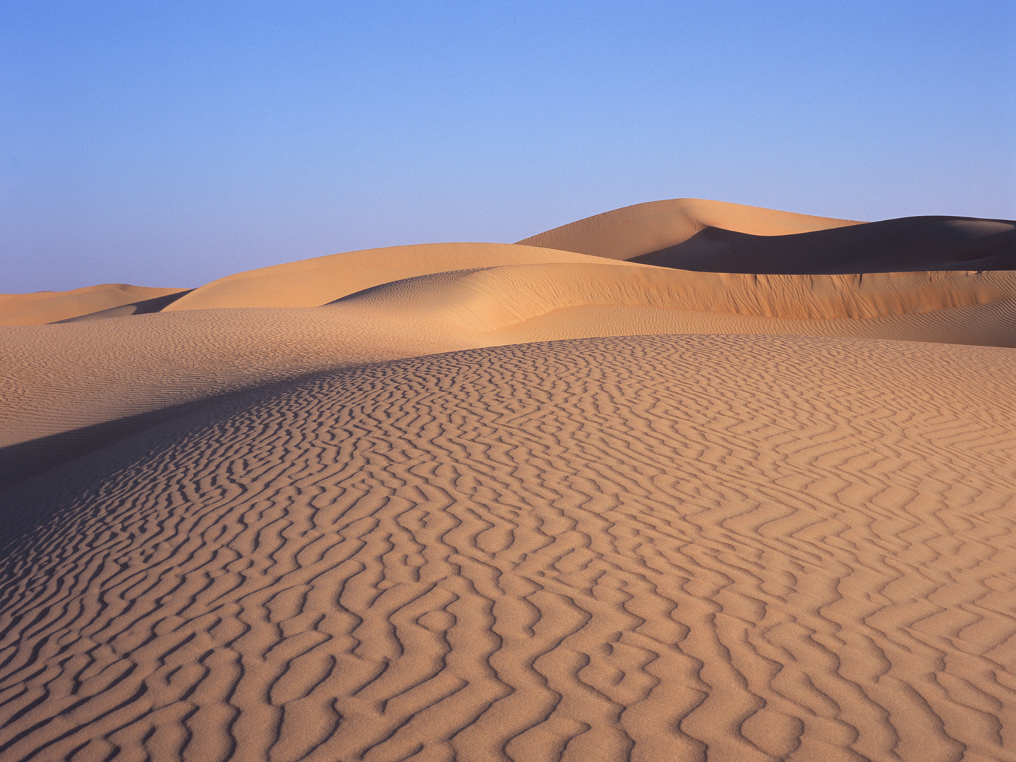 Empty Quarter I