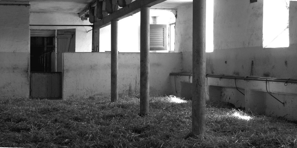 empty stable