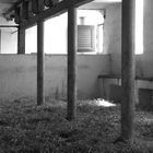 empty stable