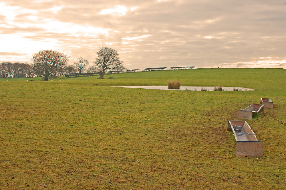 Empty Troughs