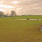 Empty Troughs