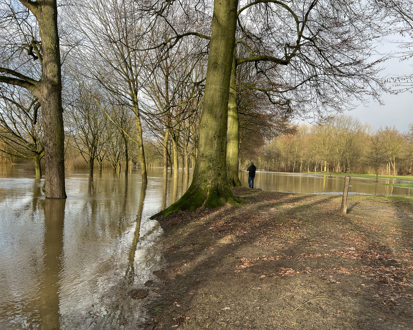 Ems Hochwasser 