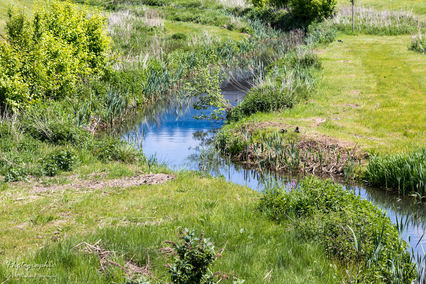 Emscher Foto & Bild landschaft, bach, fluss & see, flüsse und kanäle