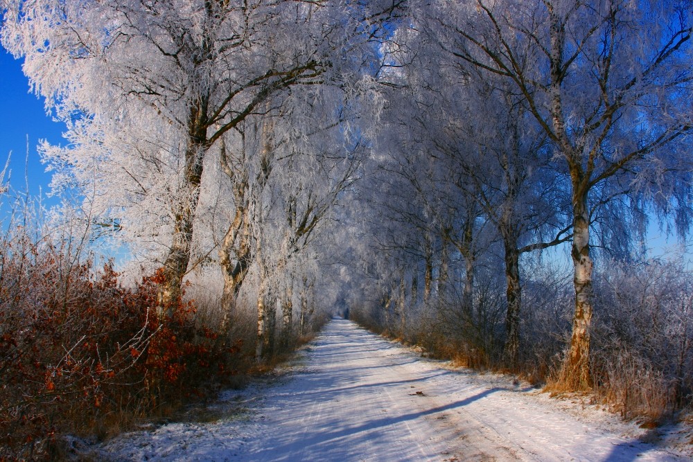 Emsdetten - Hindenburgweg im Winter -