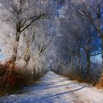 Emsdetten - Hindenburgweg im Winter -