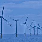 emsige Windwühlen im Meer