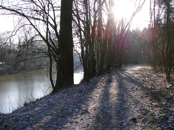 Emslandschaft im Gegenlicht