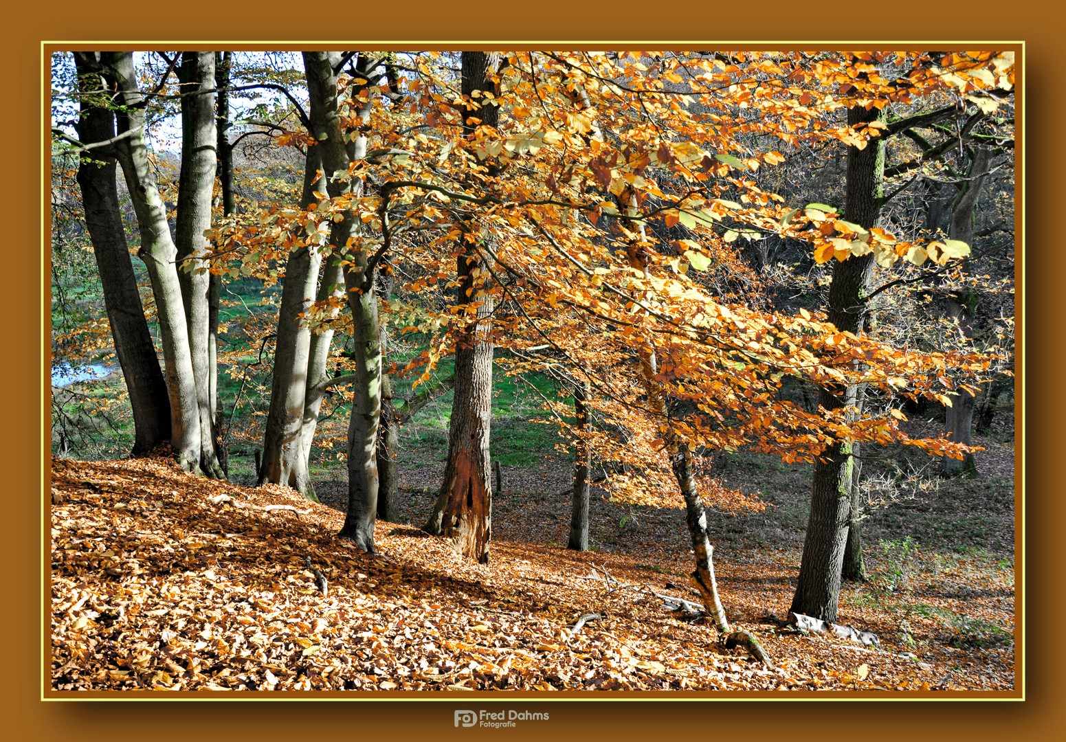 Emsquelle in Schloß Holte-Stukenbrock