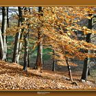 Emsquelle in Schloß Holte-Stukenbrock