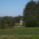 Emswiesen beim roten Läppchen in Haren