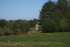 Emswiesen beim roten Läppchen in Haren