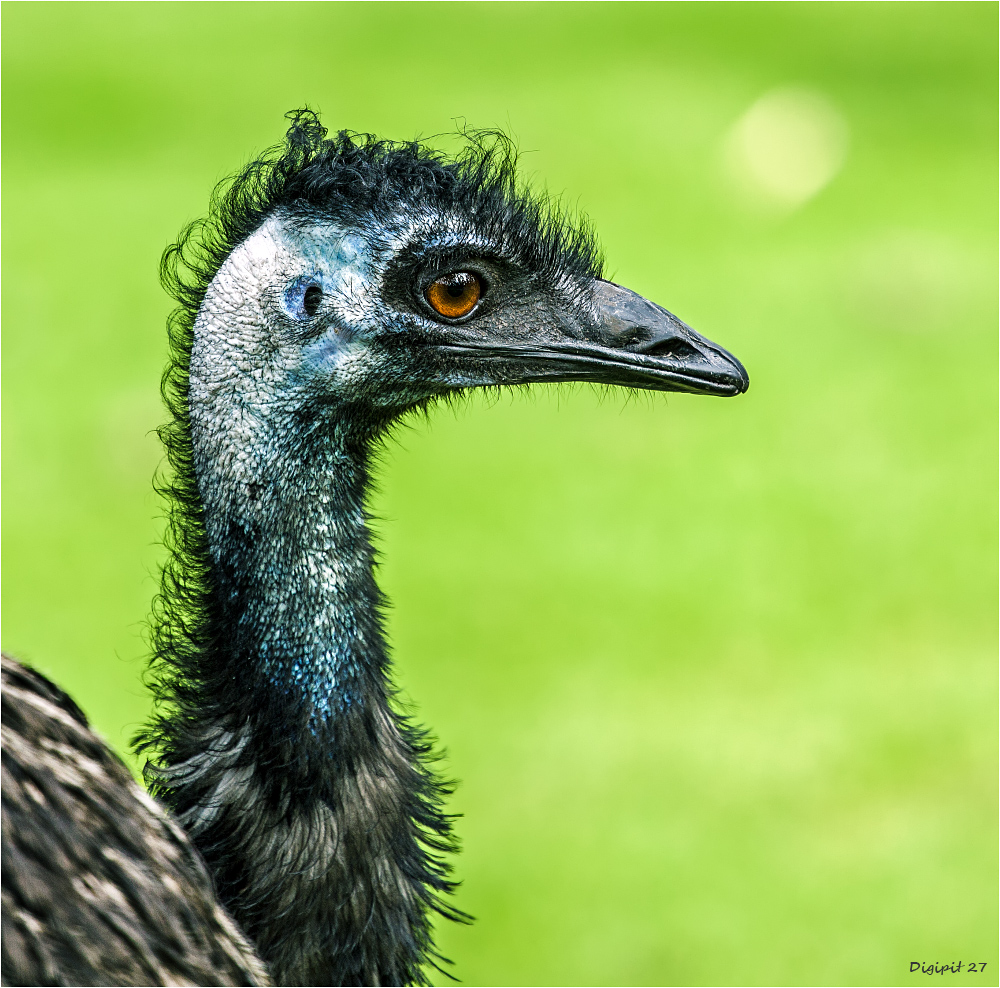 EMU 2015-01