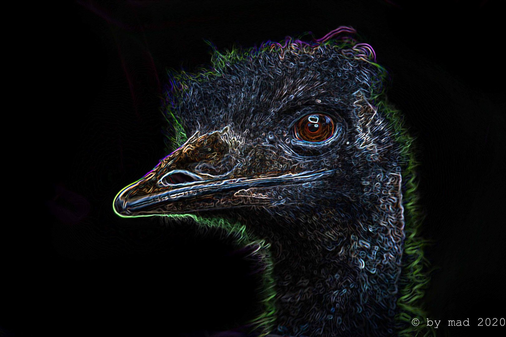 EMU