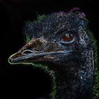 EMU