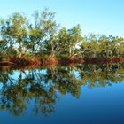 Emu Creek