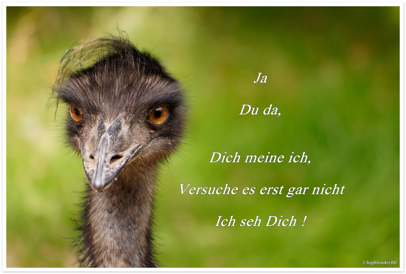  Emu - der Spanner -