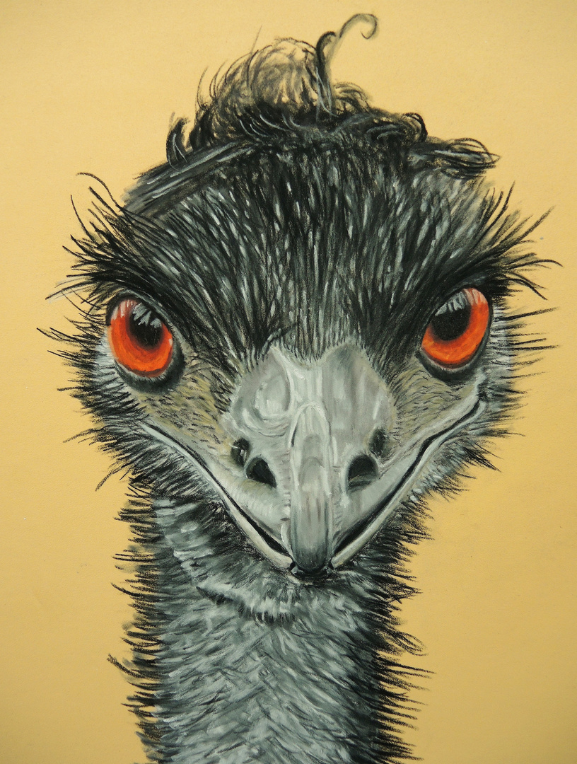 Emu im Porträt - mit Pastellkreide gemalt