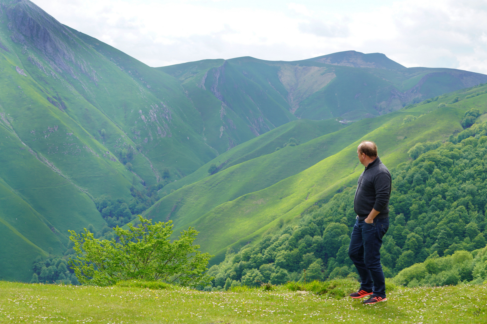 En admiration devant ce paysage