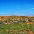 En algún lugar de Fuerteventura ²