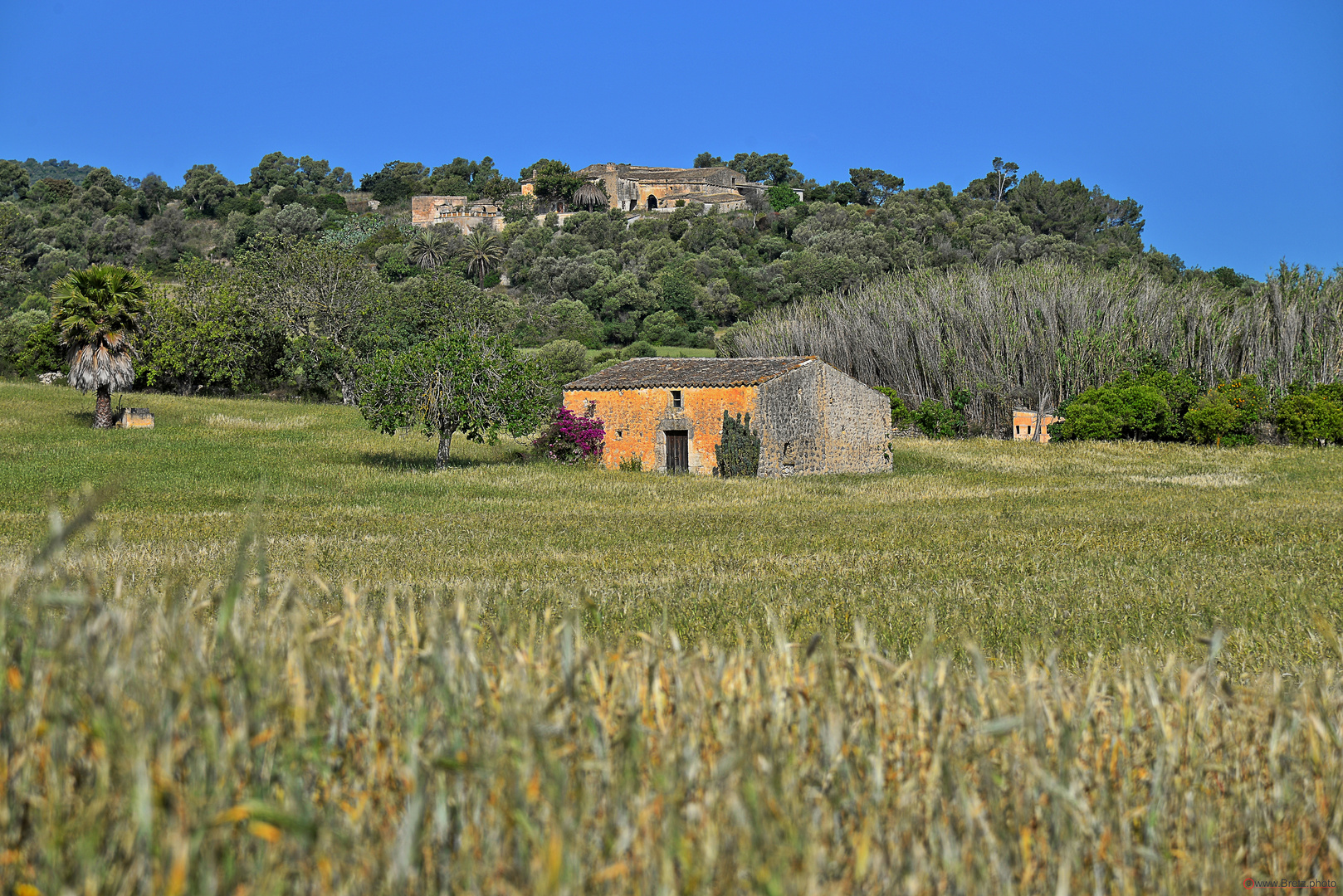 En algún lugar de Mallorca