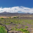 En algún lugar en Lanzarote ²