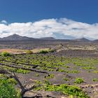 En algún lugar en Lanzarote _ Irgendwo auf Lanzarote